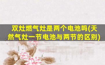 双灶燃气灶是两个电池吗(天然气灶一节电池与两节的区别)