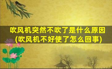 吹风机突然不吹了是什么原因(吹风机不好使了怎么回事)