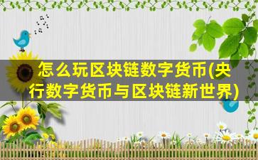 怎么玩区块链数字货币(央行数字货币与区块链新世界)