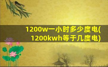 1200w一小时多少度电(1200kwh等于几度电)