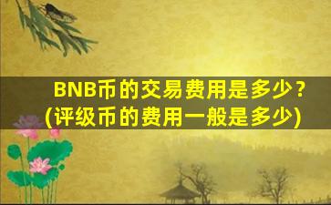 BNB币的交易费用是多少？(评级币的费用一般是多少)