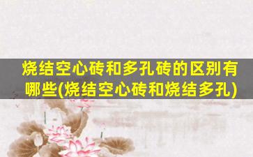 烧结空心砖和多孔砖的区别有哪些(烧结空心砖和烧结多孔)