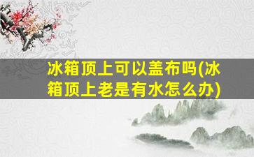 冰箱顶上可以盖布吗(冰箱顶上老是有水怎么办)