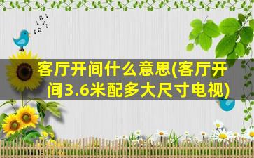 客厅开间什么意思(客厅开间3.6米配多大尺寸电视)