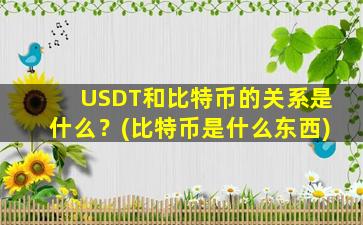 USDT和比特币的关系是什么？(比特币是什么东西)