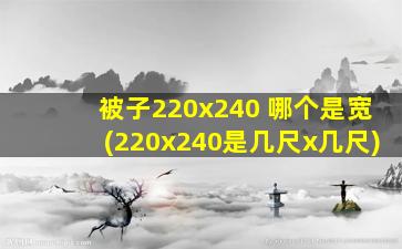 被子220x240 哪个是宽(220x240是几尺x几尺)