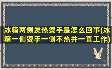 冰箱两侧发热烫手是怎么回事(冰箱一侧烫手一侧不热并一直工作)
