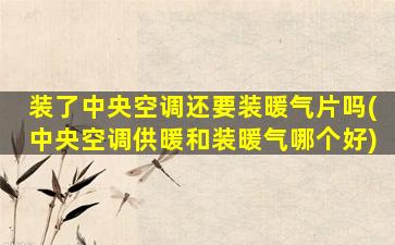 装了中央空调还要装暖气片吗(中央空调供暖和装暖气哪个好)