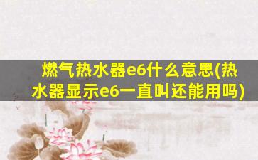 燃气热水器e6什么意思(热水器显示e6一直叫还能用吗)