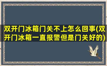 双开门冰箱门关不上怎么回事(双开门冰箱一直报警但是门关好的)