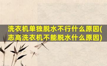 洗衣机单独脱水不行什么原因(志高洗衣机不能脱水什么原因)