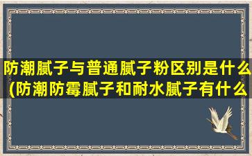 防潮腻子与普通腻子粉区别是什么(防潮防霉腻子和耐水腻子有什么区别)