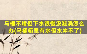 马桶不堵但下水很慢没漩涡怎么办(马桶箱里有水但水冲不了)