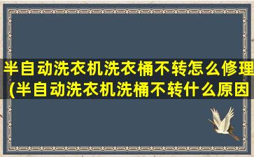 半自动洗衣机洗衣桶不转怎么修理(半自动洗衣机洗桶不转什么原因)
