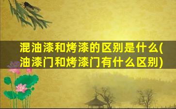 混油漆和烤漆的区别是什么(油漆门和烤漆门有什么区别)