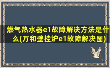 燃气热水器e1故障解决方法是什么(万和壁挂炉e1故障解决图)