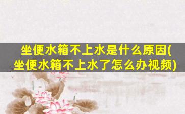 坐便水箱不上水是什么原因(坐便水箱不上水了怎么办视频)