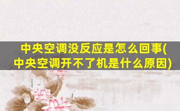 中央空调没反应是怎么回事(中央空调开不了机是什么原因)