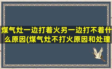 煤气灶一边打着火另一边打不着什么原因(煤气灶不打火原因和处理方法)