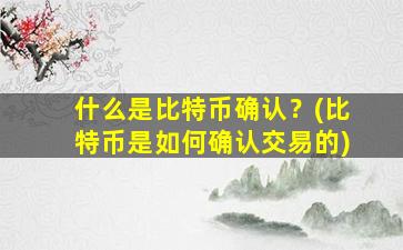 什么是比特币确认？(比特币是如何确认交易的)