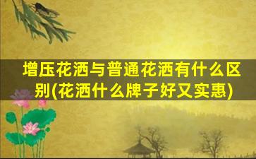 增压花洒与普通花洒有什么区别(花洒什么牌子好又实惠)