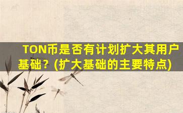 TON币是否有计划扩大其用户基础？(扩大基础的主要特点)