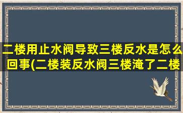 二楼用止水阀导致三楼反水是怎么回事(二楼装反水阀三楼淹了二楼有责任吗)