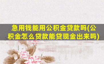 急用钱能用公积金贷款吗(公积金怎么贷款能贷现金出来吗)