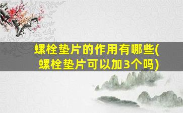 螺栓垫片的作用有哪些(螺栓垫片可以加3个吗)