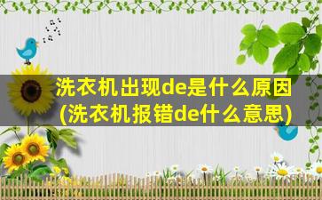 洗衣机出现de是什么原因(洗衣机报错de什么意思)