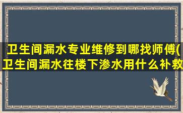 卫生间漏水专业维修到哪找师傅(卫生间漏水往楼下渗水用什么补救)