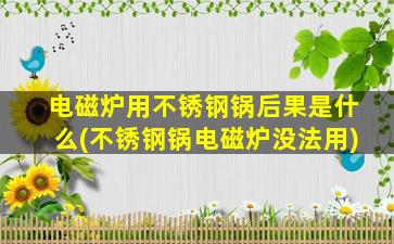 电磁炉用不锈钢锅后果是什么(不锈钢锅电磁炉没法用)