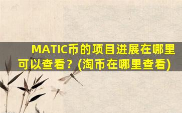 MATIC币的项目进展在哪里可以查看？(淘币在哪里查看)