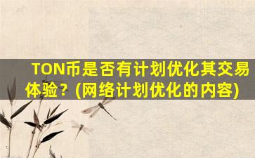 TON币是否有计划优化其交易体验？(网络计划优化的内容)