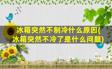 冰箱突然不制冷什么原因(冰箱突然不冷了是什么问题)