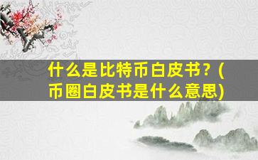 什么是比特币白皮书？(币圈白皮书是什么意思)