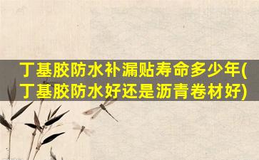 丁基胶防水补漏贴寿命多少年(丁基胶防水好还是沥青卷材好)