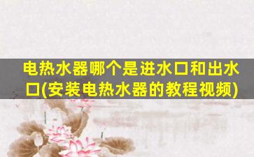 电热水器哪个是进水口和出水口(安装电热水器的教程视频)