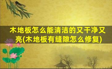 木地板怎么能清洁的又干净又亮(木地板有缝隙怎么修复)