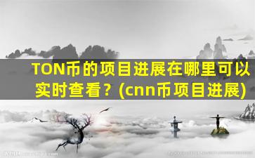 TON币的项目进展在哪里可以实时查看？(cnn币项目进展)