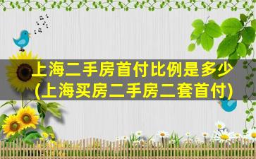 上海二手房首付比例是多少(上海买房二手房二套首付)