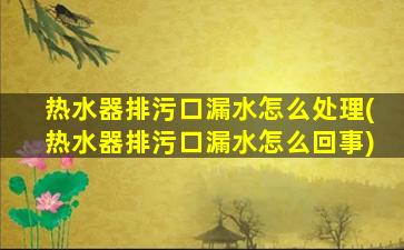 热水器排污口漏水怎么处理(热水器排污口漏水怎么回事)