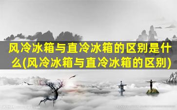 风冷冰箱与直冷冰箱的区别是什么(风冷冰箱与直冷冰箱的区别)