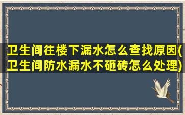 卫生间往楼下漏水怎么查找原因(卫生间防水漏水不砸砖怎么处理)