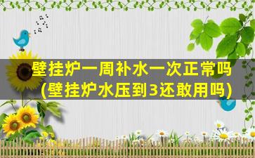 壁挂炉一周补水一次正常吗(壁挂炉水压到3还敢用吗)