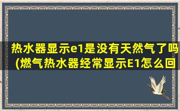 热水器显示e1是没有天然气了吗(燃气热水器经常显示E1怎么回事)