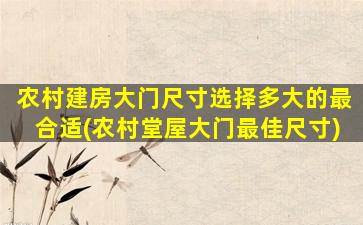农村建房大门尺寸选择多大的最合适(农村堂屋大门最佳尺寸)