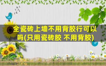 全瓷砖上墙不用背胶行可以吗(只用瓷砖胶 不用背胶)