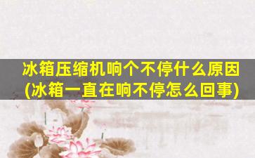 冰箱压缩机响个不停什么原因(冰箱一直在响不停怎么回事)