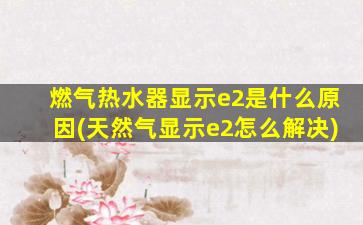 燃气热水器显示e2是什么原因(天然气显示e2怎么解决)